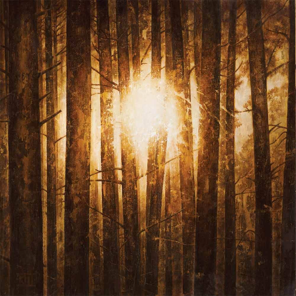 IN MOURNING · Echoes | SILVER 3LP (Melodic Death Metal Vinyl) · Picture 1