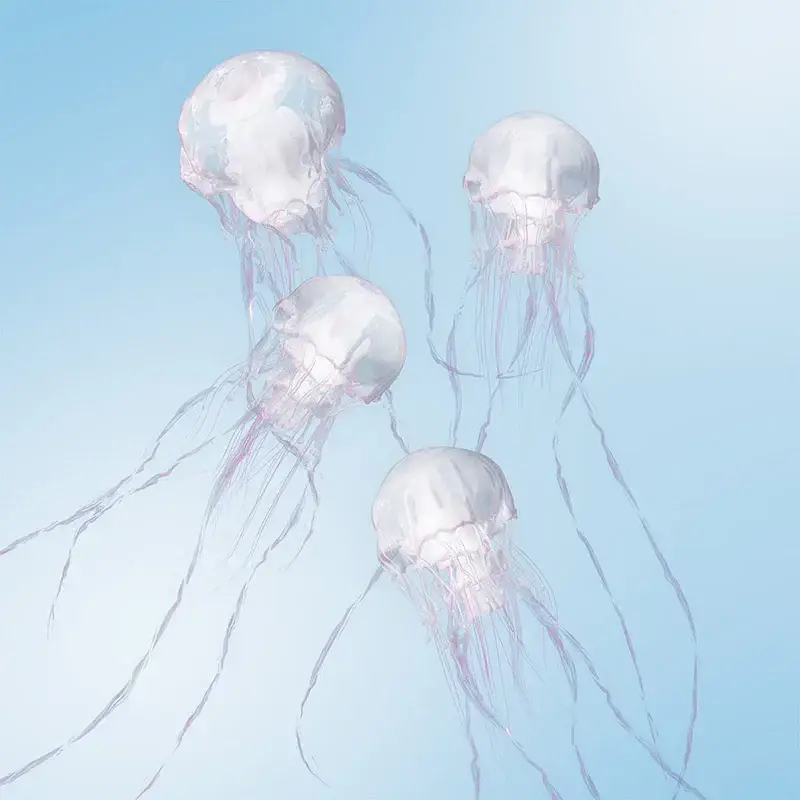 SCANDAL - Luminous · CD (J-Rock CDs)