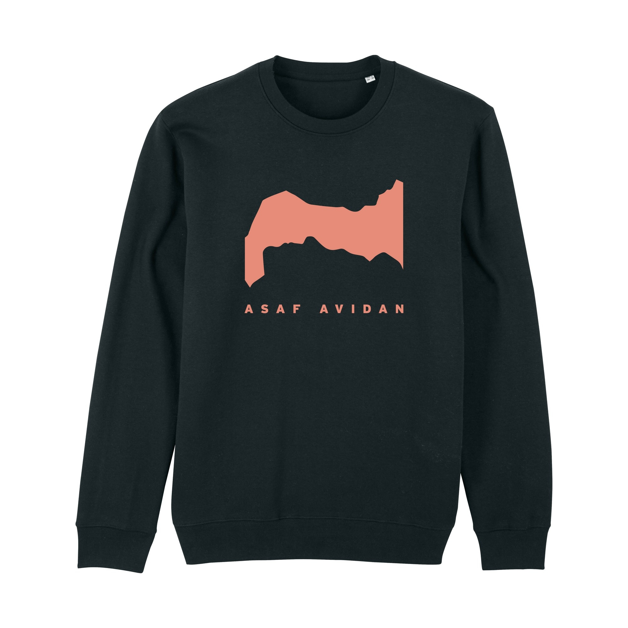 ASAF AVIDAN - Berry Silhouette [SWEATER]