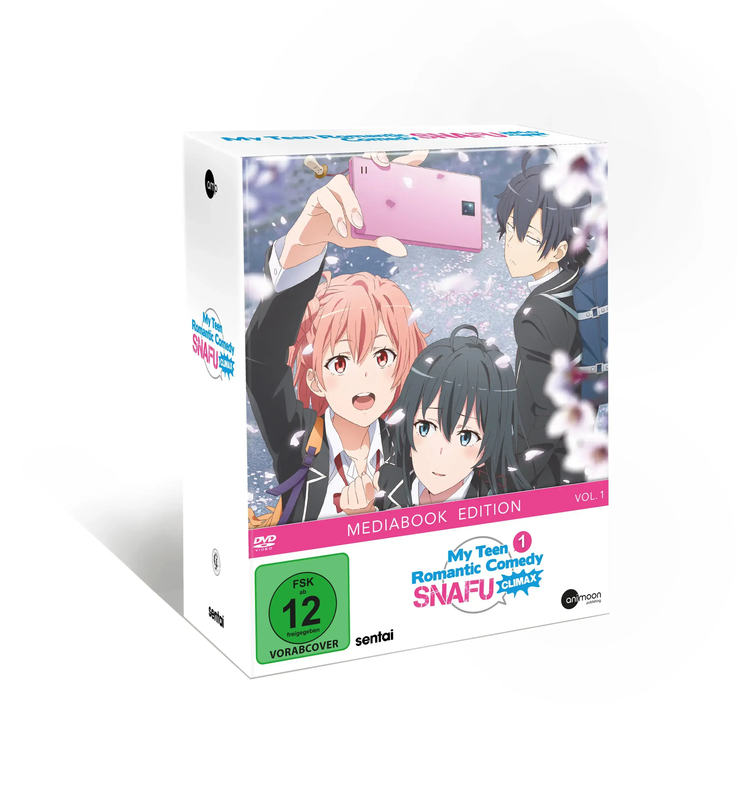 SNAFU · My Teen Romantic Comedy SNAFU Climax! Vol.1 | DVD (Animation/Anime DVDBluRay)