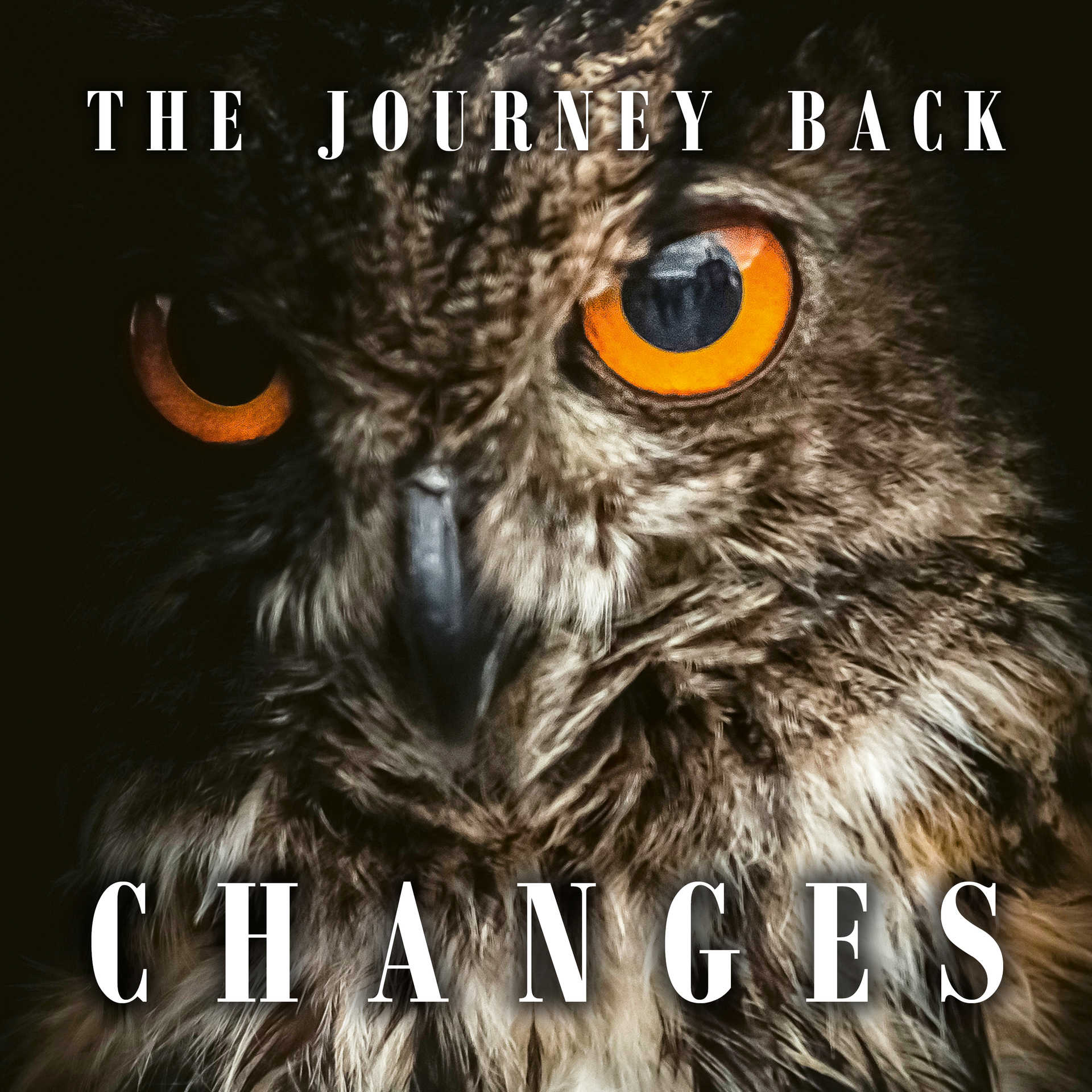 THE JOURNEY BACK - Changes · DIGIPAK CD