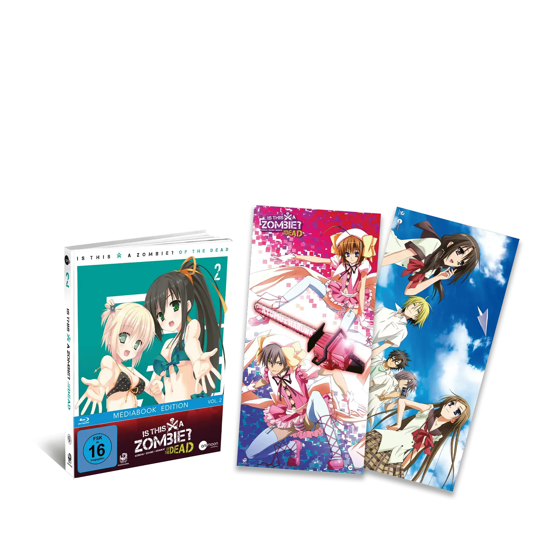 IS THIS A ZOMBIE OF THE DEAD · Is This A Zombie Of The Dead Vol.2 - Limited Media Book | DVD (Animation/Anime DVDBluRay) · Bild 2