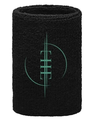 THE HALO EFFECT - Logo · WRISTBAND