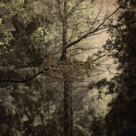 DÄMMERFARBEN · Herbstpfad | CLEAR LP (Black Metal Vinyl) · Picture 2